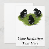 Invitation Poussins Marans Noir Cuivré (Devant / Derrière)