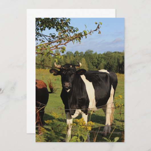 Invitation Prenez Taureau par les klaxons (Devant / Derrière)