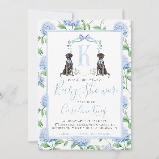 Invitation Preppy Southern Blue Boy Baby shower Chien