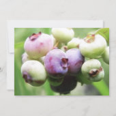 Invitation Presque mûr - Blueberries (Dos)