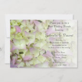 Invitation Presque rose Hydrangea Floral Post Mariage Brunch (Devant)
