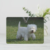 Invitation Produit de personnaliser (Debout devant)