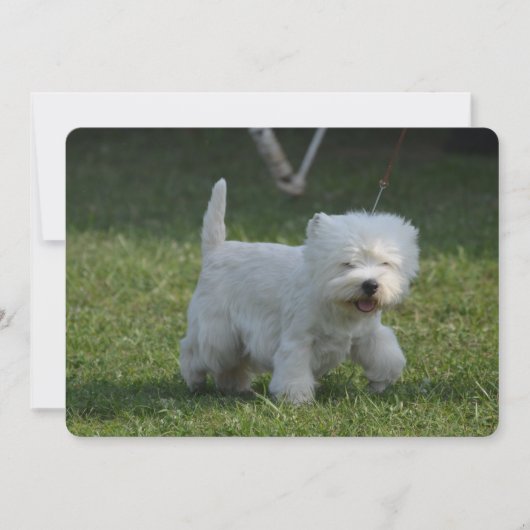 Invitation Produit de personnaliser (Devant)