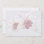 Invitation Produits de mariage Cymbidium Baltic Dew Freckle F (Dos)