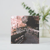 Invitation promenade brandywine (Debout devant)