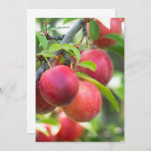 Invitation Prunelle sur branche (Devant / Derrière)