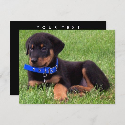 Invitation pubs de rottweiler (Devant / Derrière)