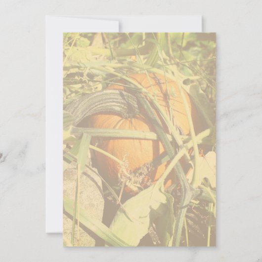 Invitation Pumpkin On The Vine Fall Nature (Dos)
