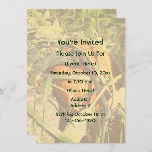 Invitation Pumpkin On The Vine Fall Nature (Devant / Derrière)