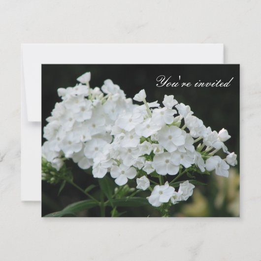 Invitation Pureté (Devant)