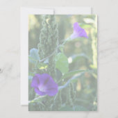 Invitation Purple Morning Glory Flowers (Dos)