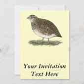 Invitation Quai Coturnix (Devant)