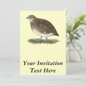 Invitation Quai Coturnix (Debout devant)