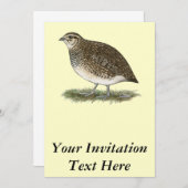 Invitation Quai Coturnix (Devant / Derrière)