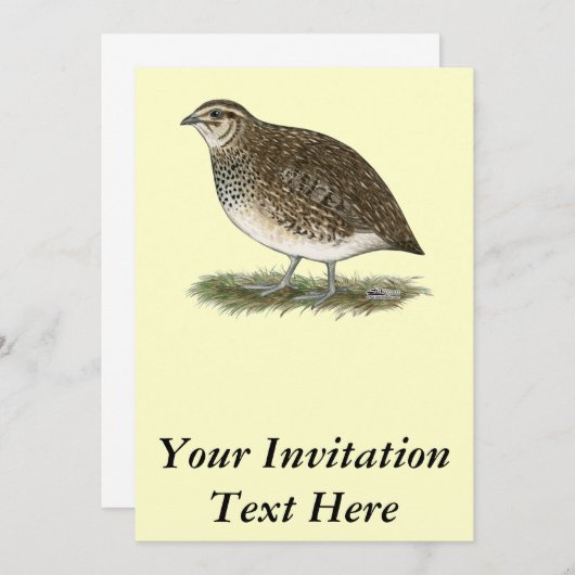 Invitation Quai Coturnix (Devant / Derrière)