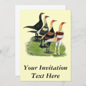 Invitation Quartet de jeu moderne (Devant / Derrière)