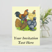 Invitation Quatuor Bantam (Debout devant)