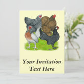 Invitation Quatuor Bantam Hen (Debout devant)