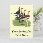Invitation Quatuor de jeu moderne (Debout devant)