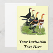 Invitation Quatuor de jeu moderne (Devant / Derrière)