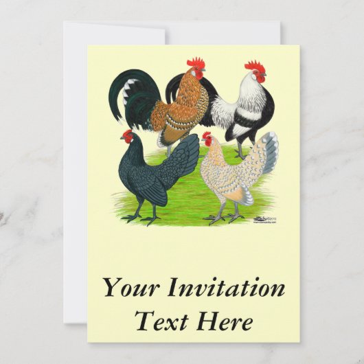 Invitation Quatuor néerlandais Bantam (Devant)