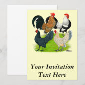 Invitation Quatuor néerlandais Bantam (Devant / Derrière)