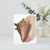 Invitation Queen Conch Shell Seashell, Vintage Marine Life (Debout devant)