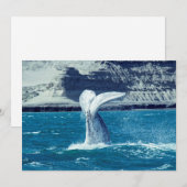 Invitation Queue de veau de baleine - Argentine (Devant / Derrière)