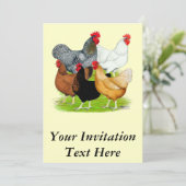 Invitation Quintette de poulet liée au sexe (Debout devant)