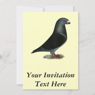 Invitation Racine du spectacle de velours bleu