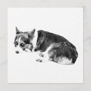 Invitation Rassemblez Corgi, Nuit Confortable