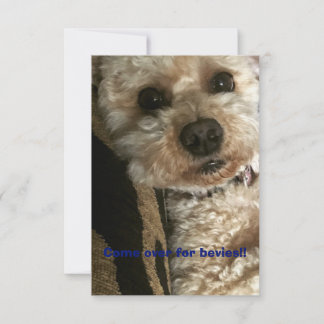 Invitation Rassemblez-vous et rattrapez-vous