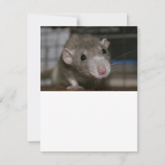 Invitation Rat curieux (Devant)