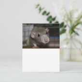 Invitation Rat curieux (Debout devant)