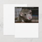 Invitation Rat curieux (Devant / Derrière)