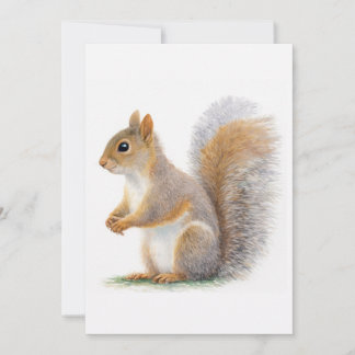 Invitation Realistic Squirrel Portrait