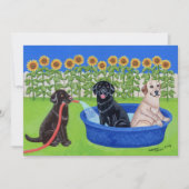 Invitation Réception au bord de la piscine drôle Labradors (Devant)