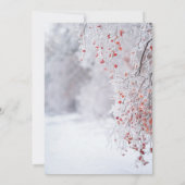 Invitation Réception de mariage flocons de neige de Wonderlan (Dos)