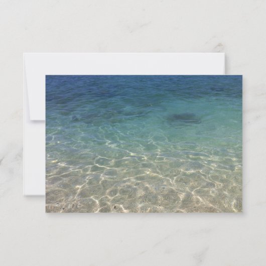 Invitation Réception-Plage Mariage Starfish & Sand Dollar (Dos)