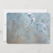 Invitation Red Cardinal dans Winter Nature Photo de Christmas (Dos)