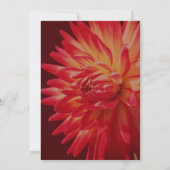 Invitation Red Dahlia Floral Elegant Party (Dos)