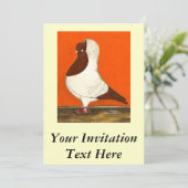 Invitation Red Nun Pigeon (Debout devant)