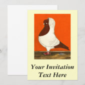 Invitation Red Nun Pigeon (Devant / Derrière)