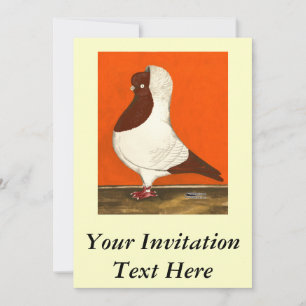 Invitation Red Nun Pigeon