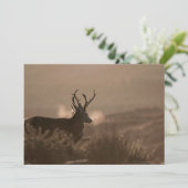 Invitation Red Stags (Debout devant)