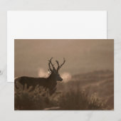 Invitation Red Stags (Devant / Derrière)