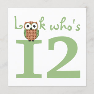 Invitation Regardez qui est 12 Owl Birthday Party