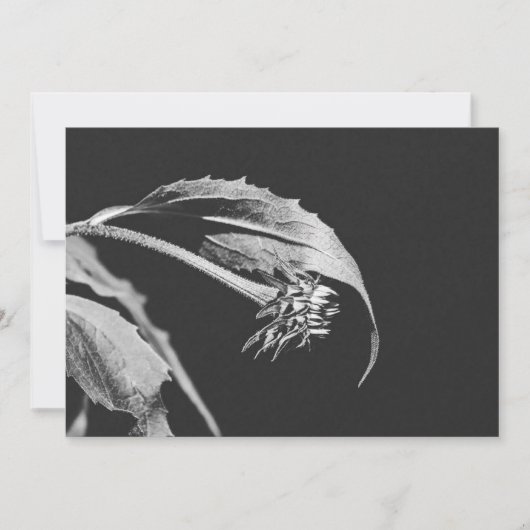 Invitation Réimpression de photo de fleur flétrie gothique (Devant)