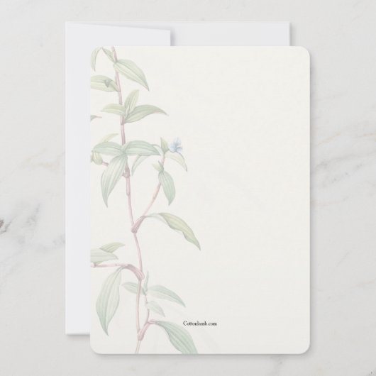 Invitation religieuse inspirée (Dos)