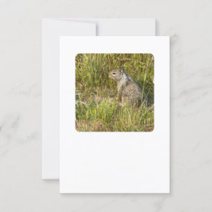 Invitation remplacement par force avec masque